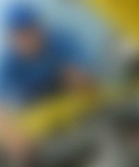 Professional car service